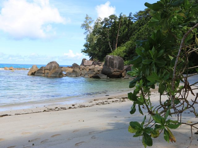 Seychelles Travel Guide and Tips